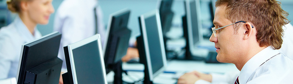 SAP Analytics Consulting and Support Services